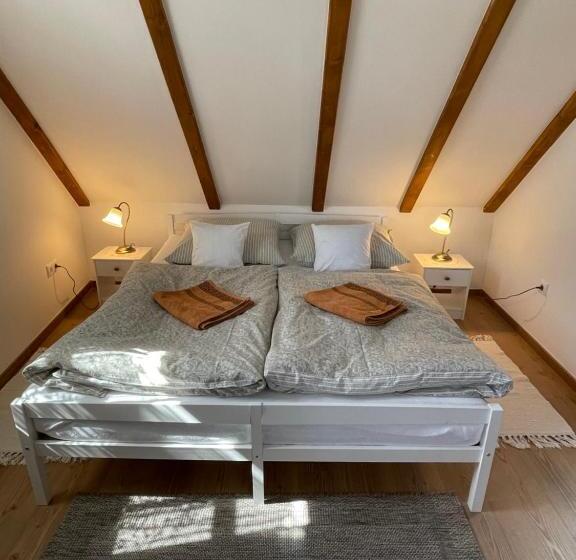 פנסיון Kis Duna Vendégház