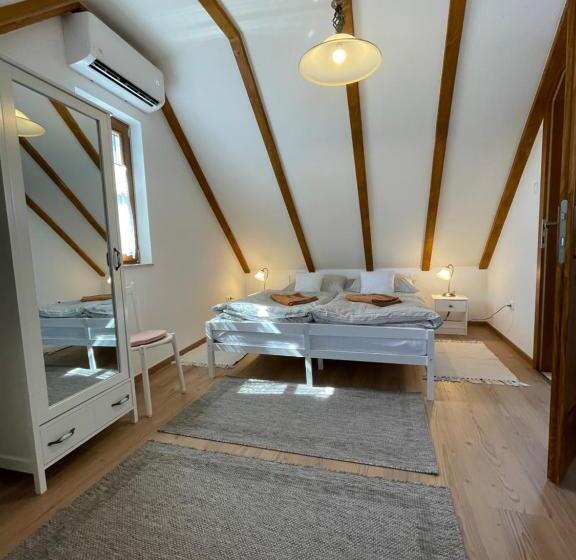 פנסיון Kis Duna Vendégház