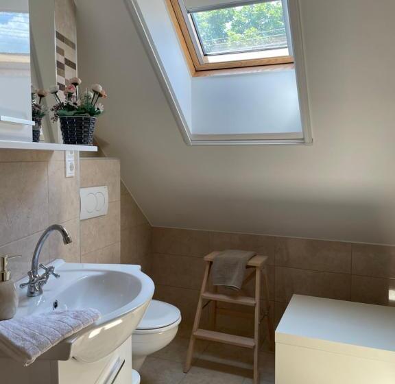 פנסיון Kis Duna Vendégház