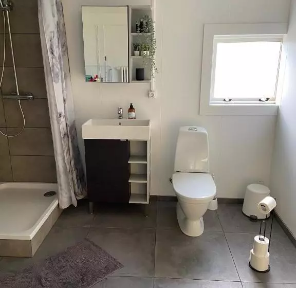 پانسیون The Little Guesthouse Downtown   Keflavik Airport