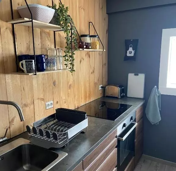 پانسیون The Little Guesthouse Downtown   Keflavik Airport