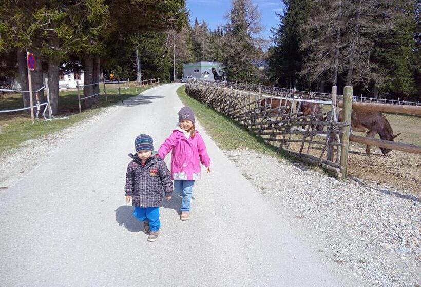 Aamiaismajoitus (B&B) Wald Panorama Zimmer