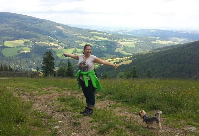 Aamiaismajoitus (B&B) Wald Panorama Zimmer