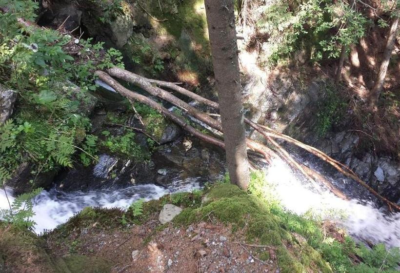 Aamiaismajoitus (B&B) Wald Panorama Zimmer