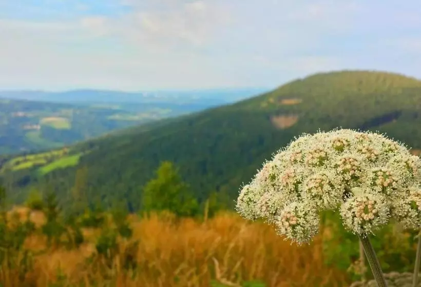 Aamiaismajoitus (B&B) Wald Panorama Zimmer
