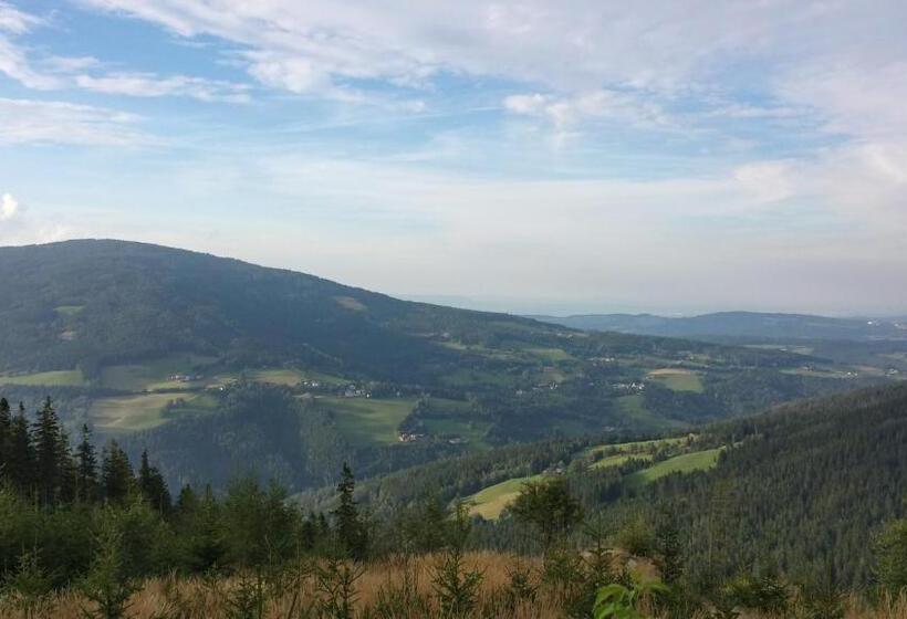 Aamiaismajoitus (B&B) Wald Panorama Zimmer