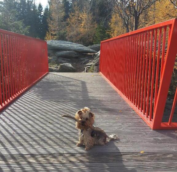 Aamiaismajoitus (B&B) Wald Panorama Zimmer