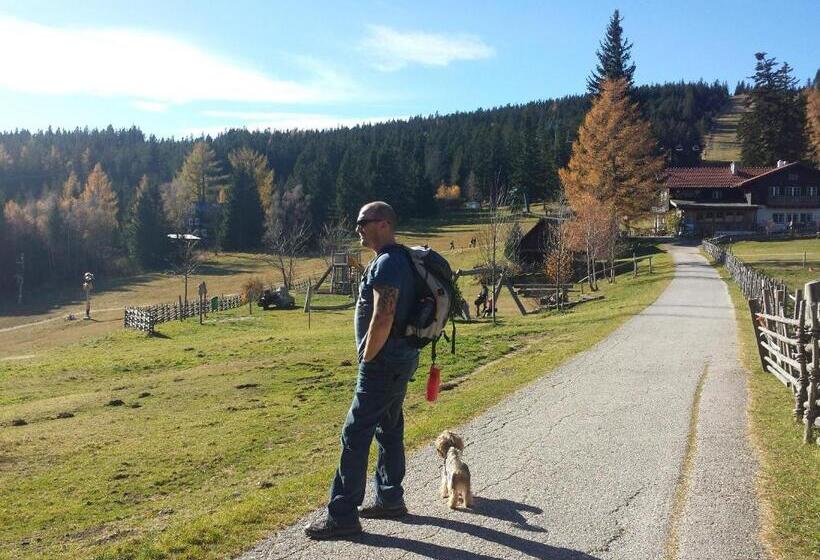Aamiaismajoitus (B&B) Wald Panorama Zimmer