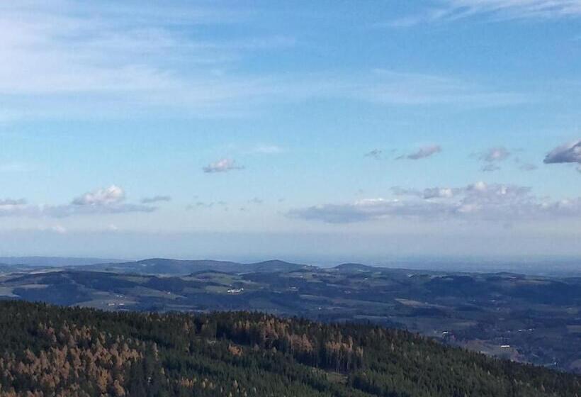 Aamiaismajoitus (B&B) Wald Panorama Zimmer