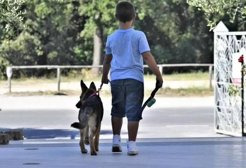 Le Residenze Di Santa Costanza   Mirto/corbezzolo