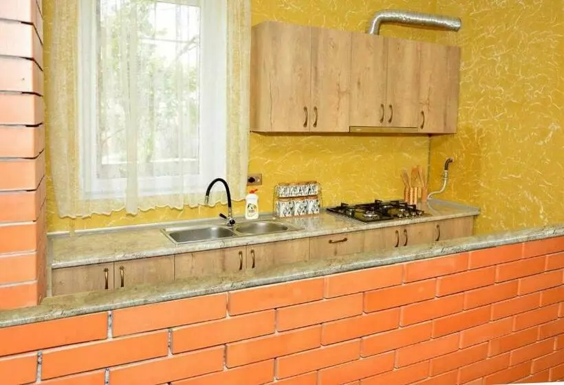 پانسیون Temuka