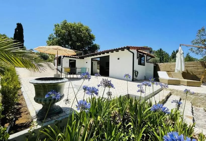 Lomakeskus Marti Watersports