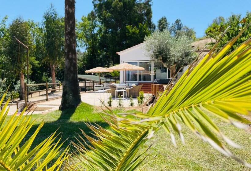 אתר נופש Marti Watersports