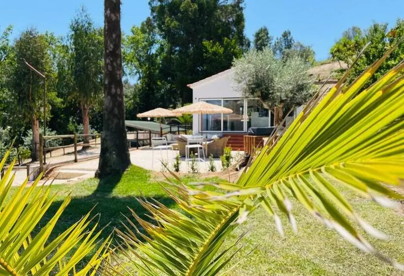 Lomakeskus Marti Watersports