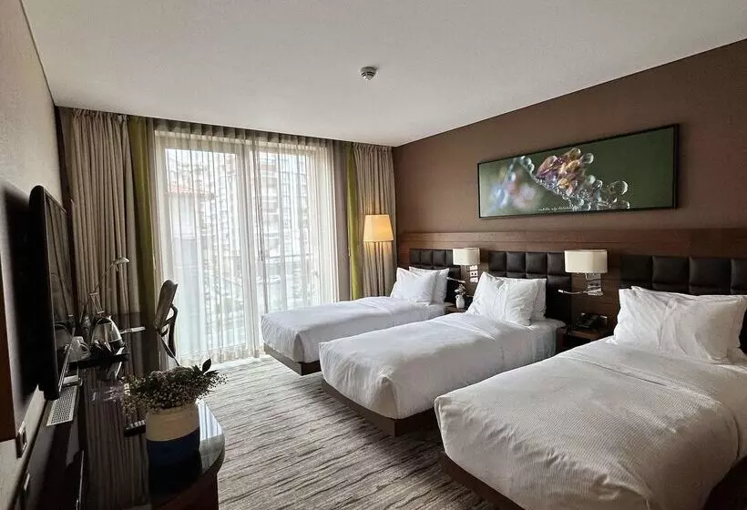 Hotel Doubletree By Hilton Trabzon