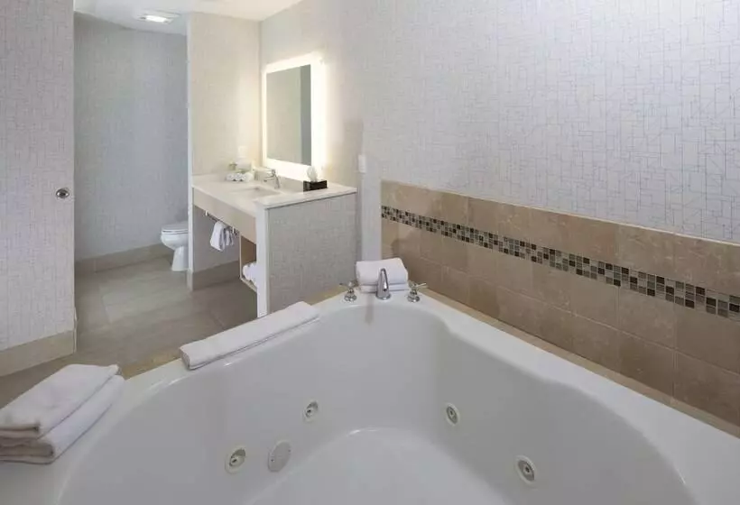 فندق Holiday Inn Express Rochester Hills, An Ihg