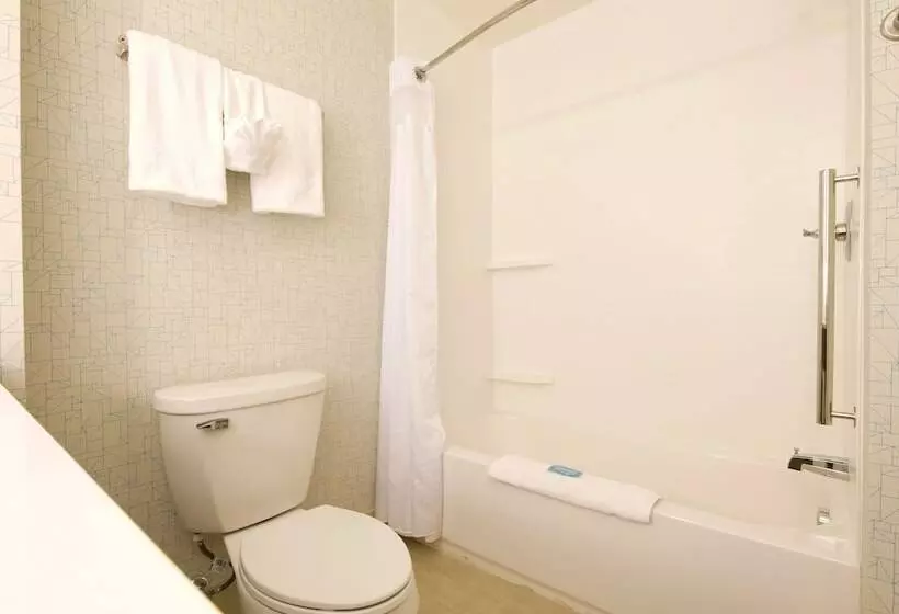 בית מלון כפרי Holiday Inn Express & Suites Monroe, An Ihg