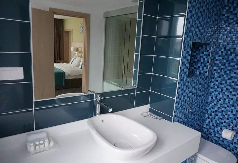 호텔 Nesterov Plaza