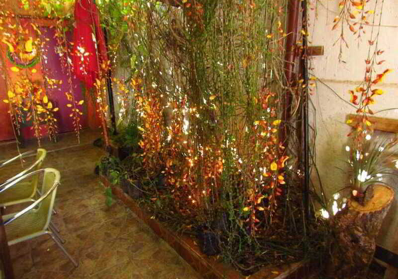 La Casa De Mamapán Hotel Colonial Ahuachapan