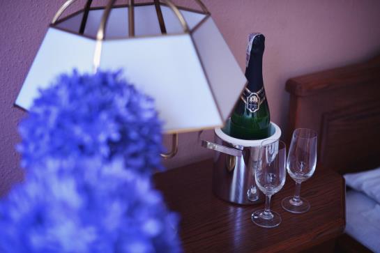 호텔 Pod D&#281;bami