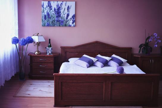 호텔 Pod D&#281;bami