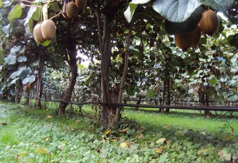 Hôtel Rural Agriturismo Sant' Anna