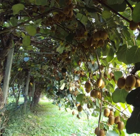 Hôtel Rural Agriturismo Sant' Anna