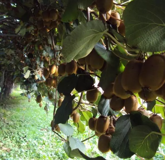 Hôtel Rural Agriturismo Sant' Anna