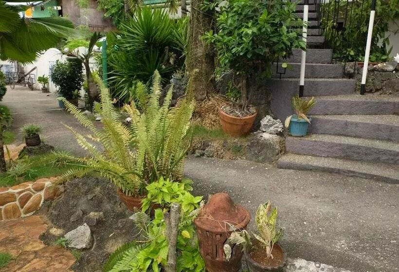 בית מלון כפרי Turtle Inn Resort