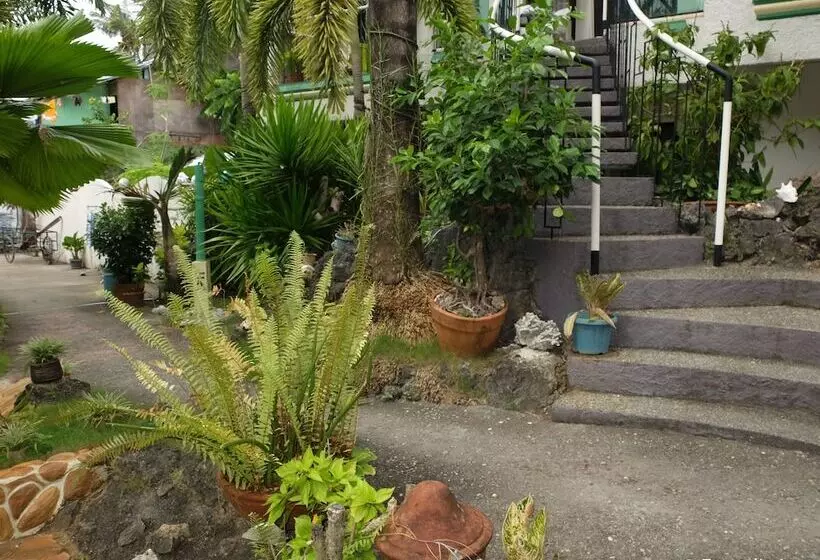 בית מלון כפרי Turtle Inn Resort