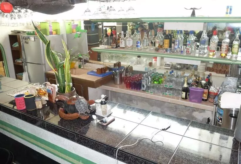 בית מלון כפרי Turtle Inn Resort