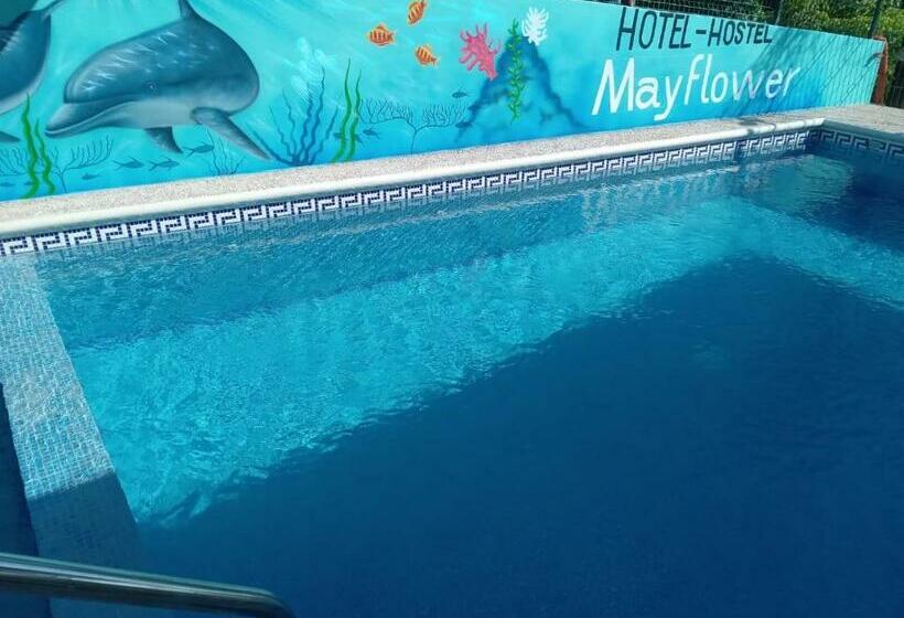 Mayflower Hotel & Hostal