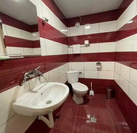 ユースホステル Live Inn Bulgaria Town Svishtov