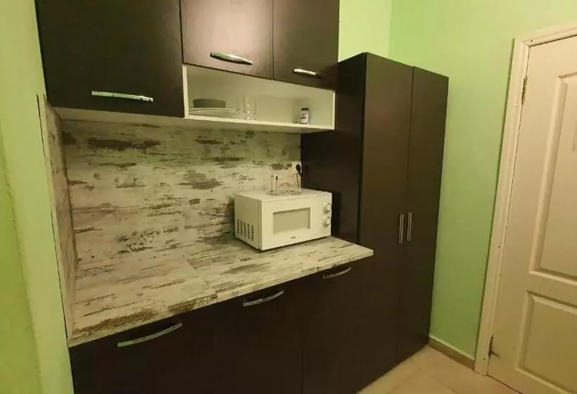 ユースホステル Live Inn Bulgaria Town Svishtov