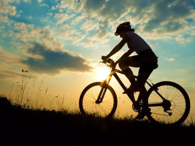 ユースホステル Live Inn Bulgaria Town Svishtov