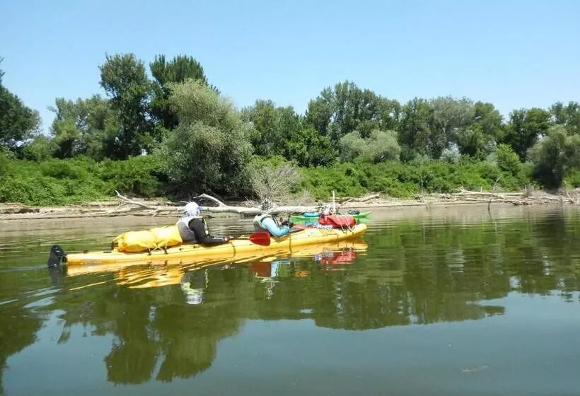 ユースホステル Live Inn Bulgaria Town Svishtov