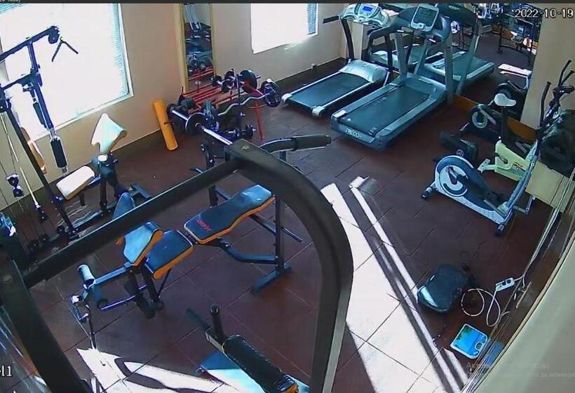 فندق صغير Live Inn Bulgaria Town Svishtov