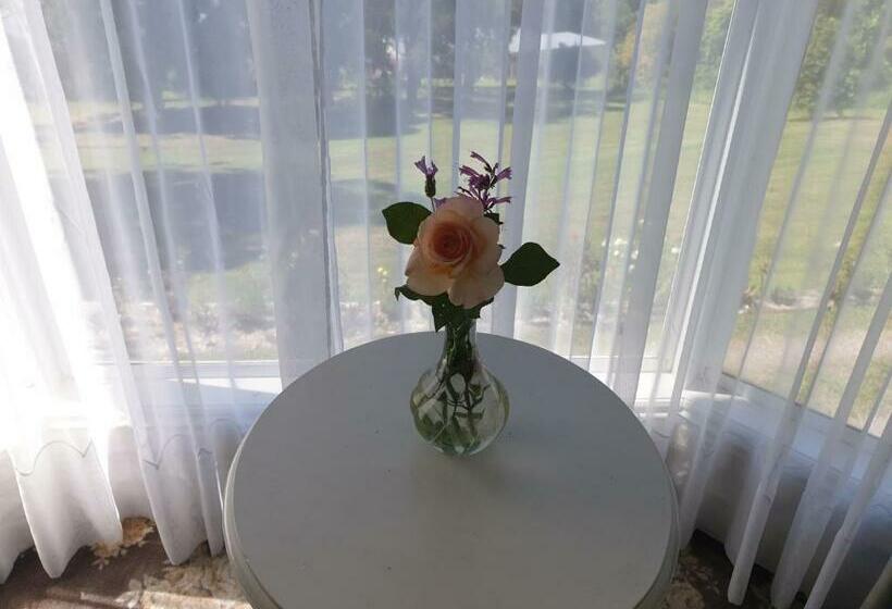 פנסיון Rosebank Guesthouse