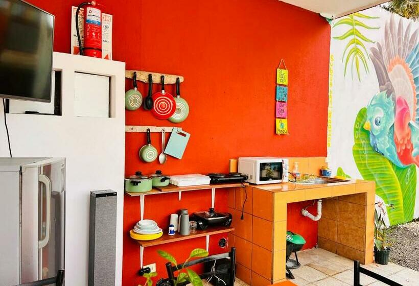 Отель Adventure Lodge