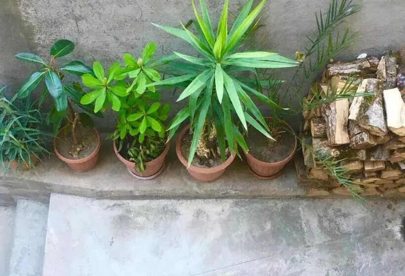 ペンション Poqr Tagh