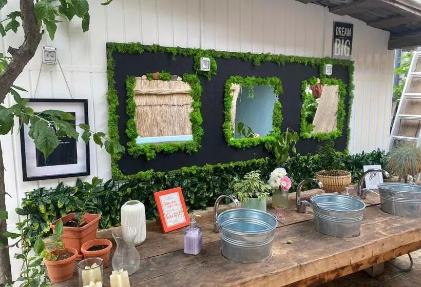 Majatalo Supvamaveche