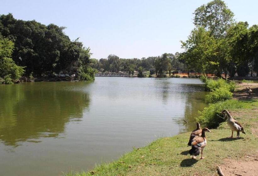 Pensió Villa Ono   At Bar Ilan University And Sheba Hospital