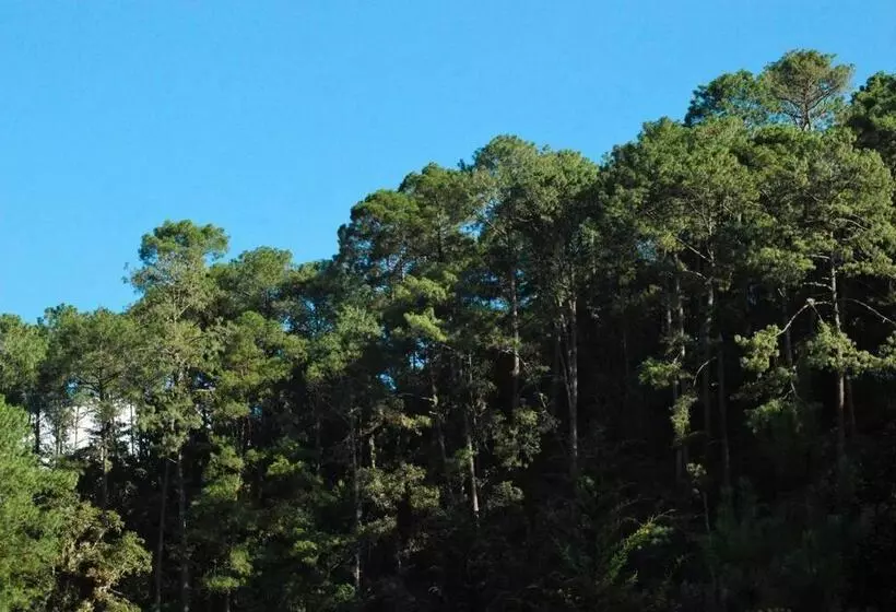 ユースホステル Hostal Casa 4 Estaciones, Coliving & Nature