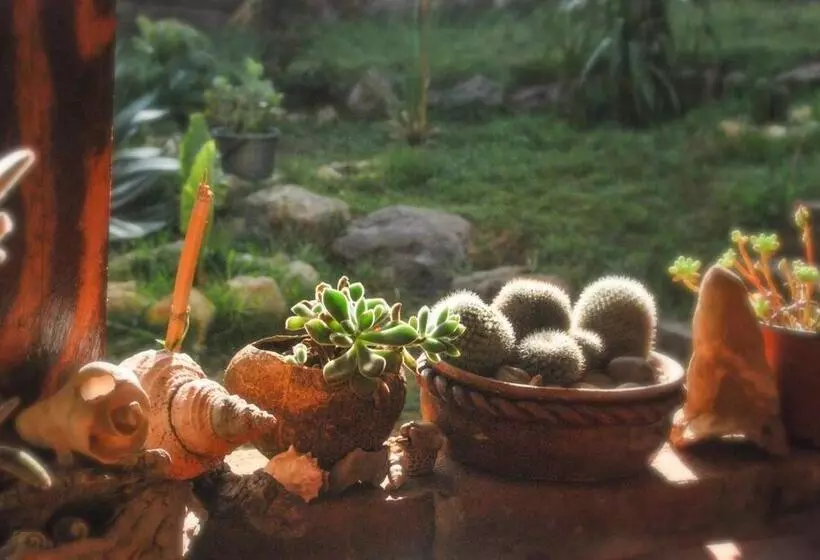 ユースホステル Hostal Casa 4 Estaciones, Coliving & Nature