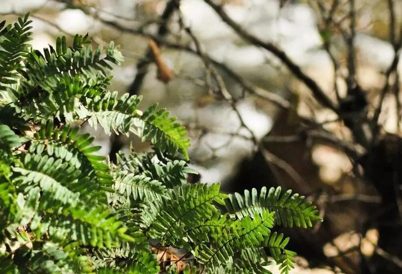 ユースホステル Hostal Casa 4 Estaciones, Coliving & Nature