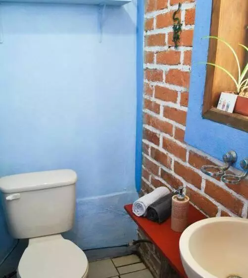 ユースホステル Hostal Casa 4 Estaciones, Coliving & Nature