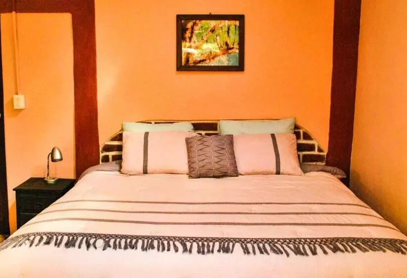 ユースホステル Hostal Casa 4 Estaciones, Coliving & Nature