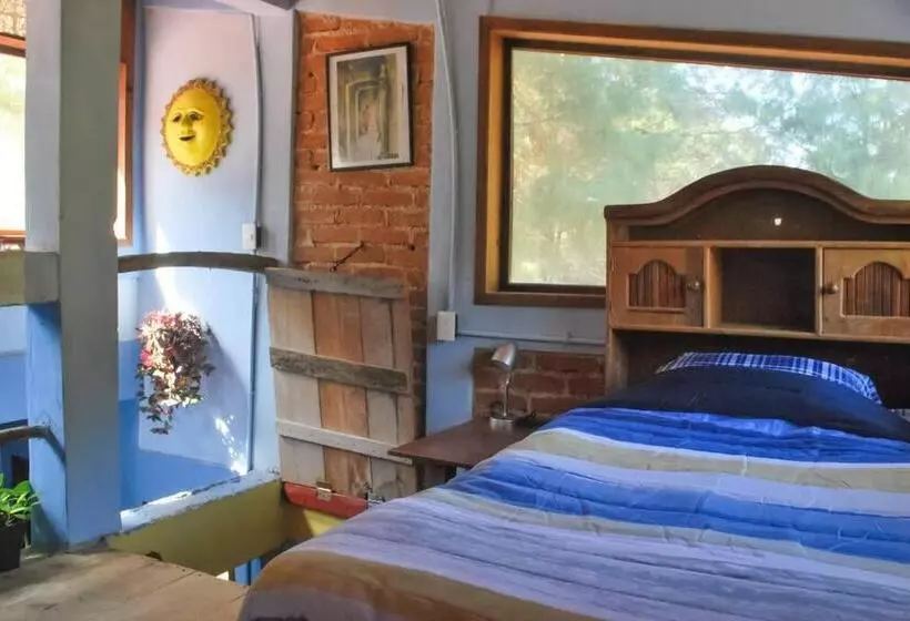 ユースホステル Hostal Casa 4 Estaciones, Coliving & Nature