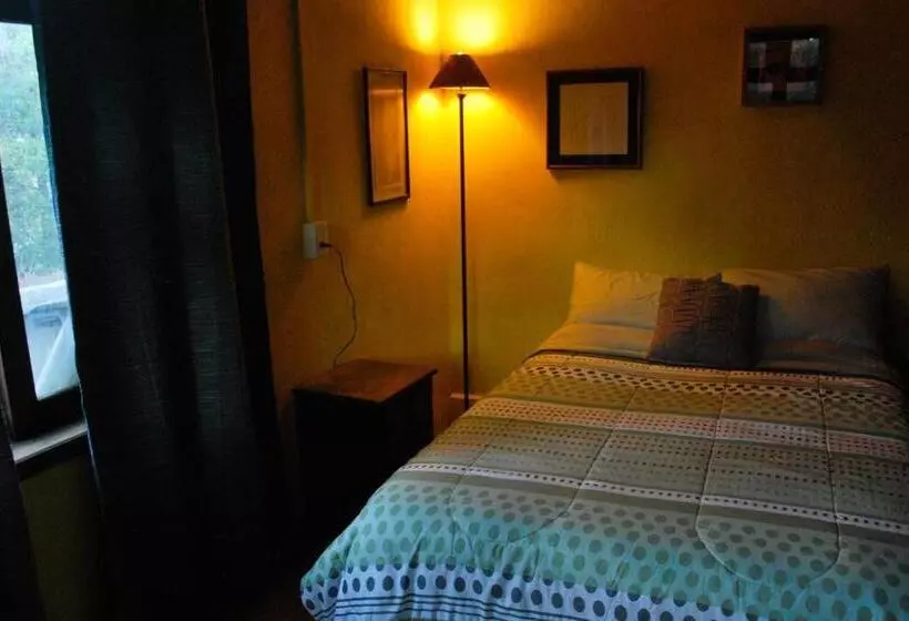 ユースホステル Hostal Casa 4 Estaciones, Coliving & Nature