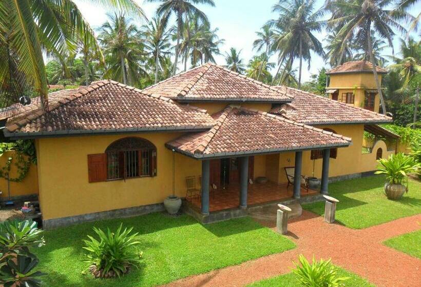 Hotel Jim S Beach Villas